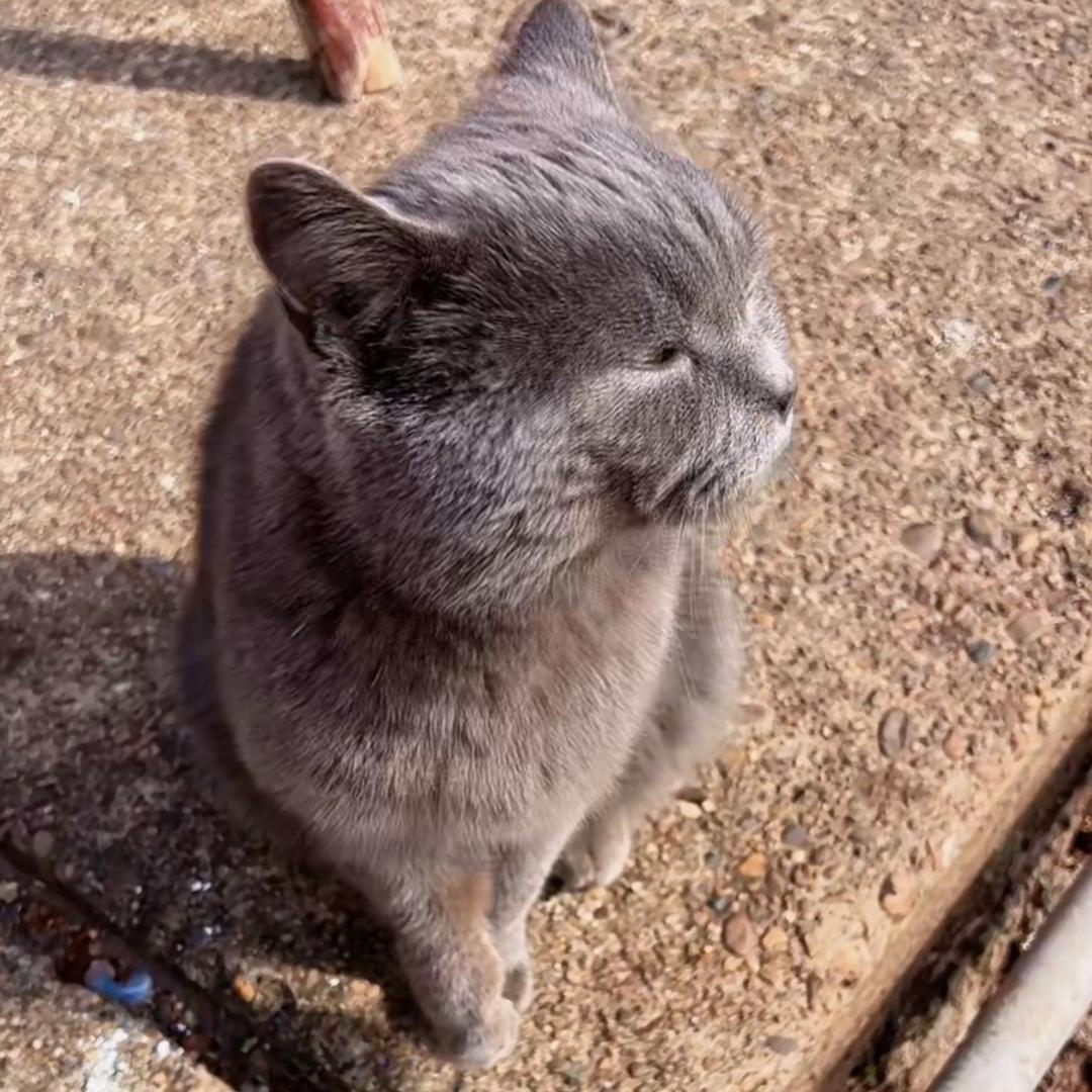 礼富贵