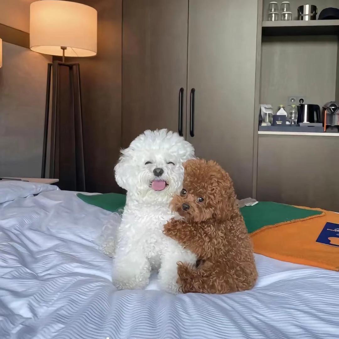 加减号