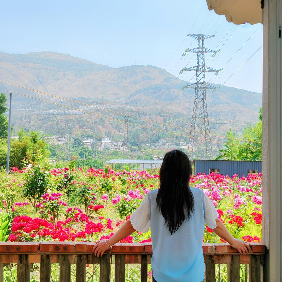香菇滑鸡🙋🏻‍♀️