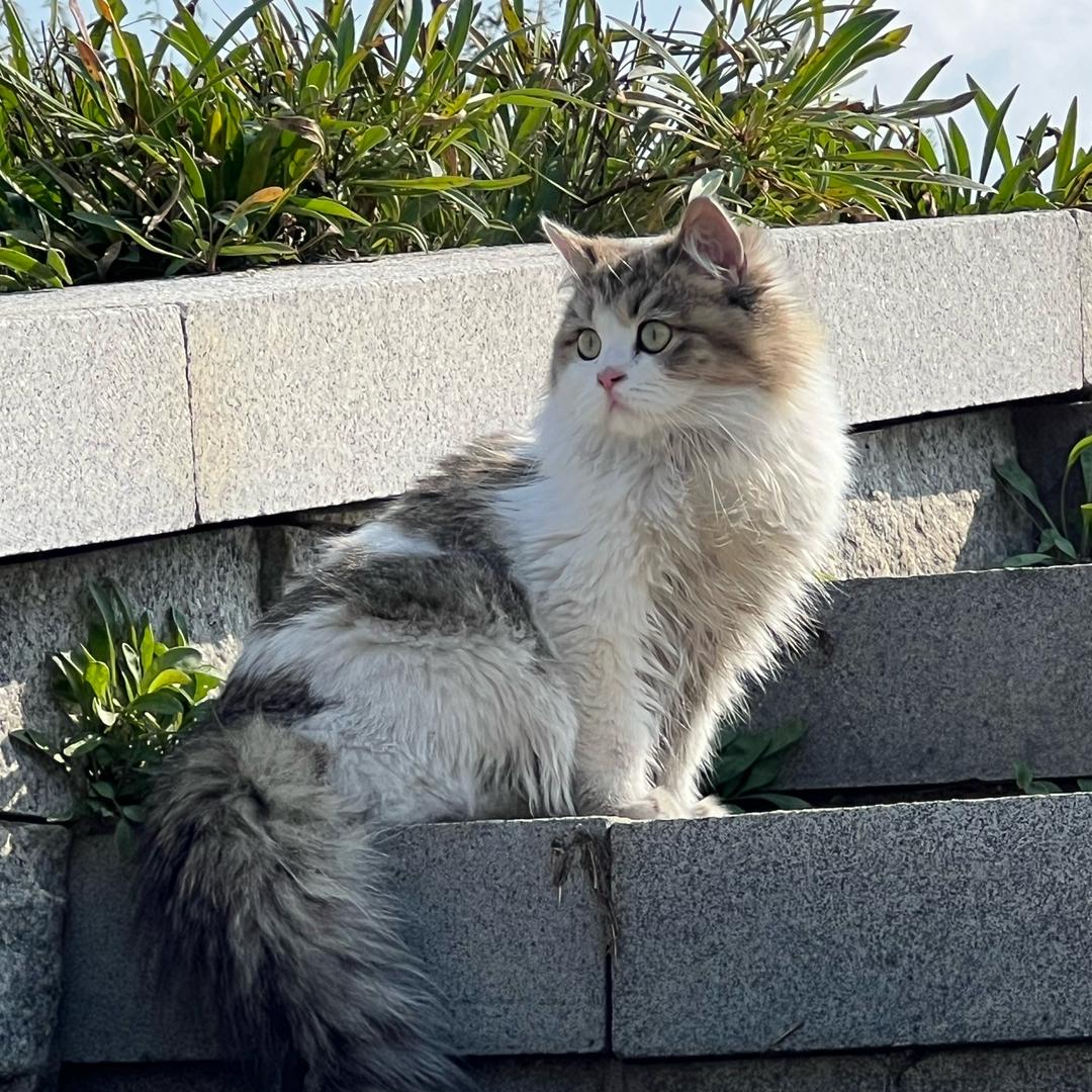 空白
