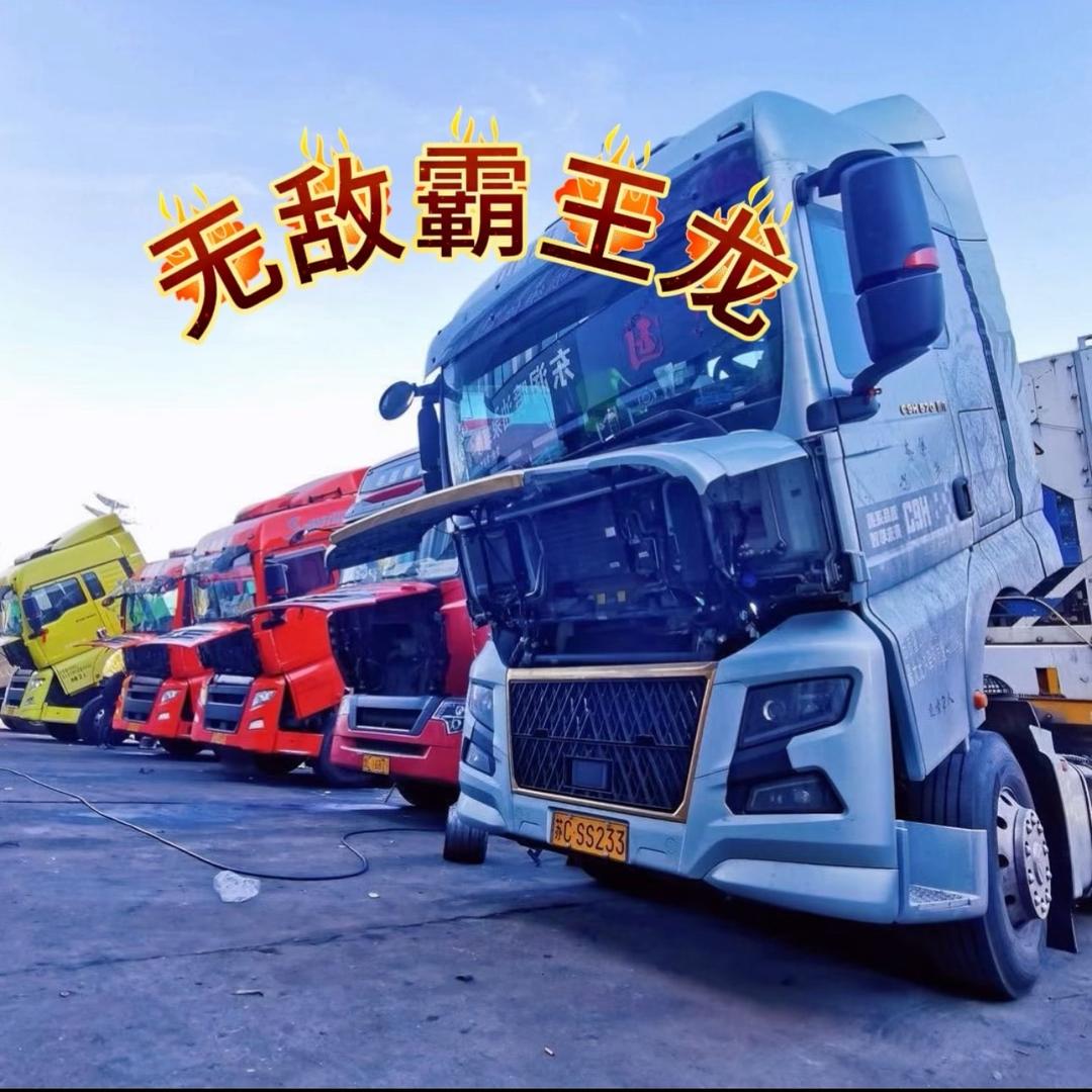无敌霸王龙W