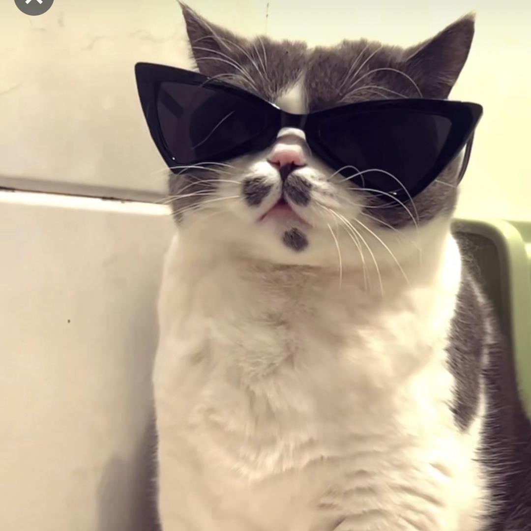 我是子榆呀.......