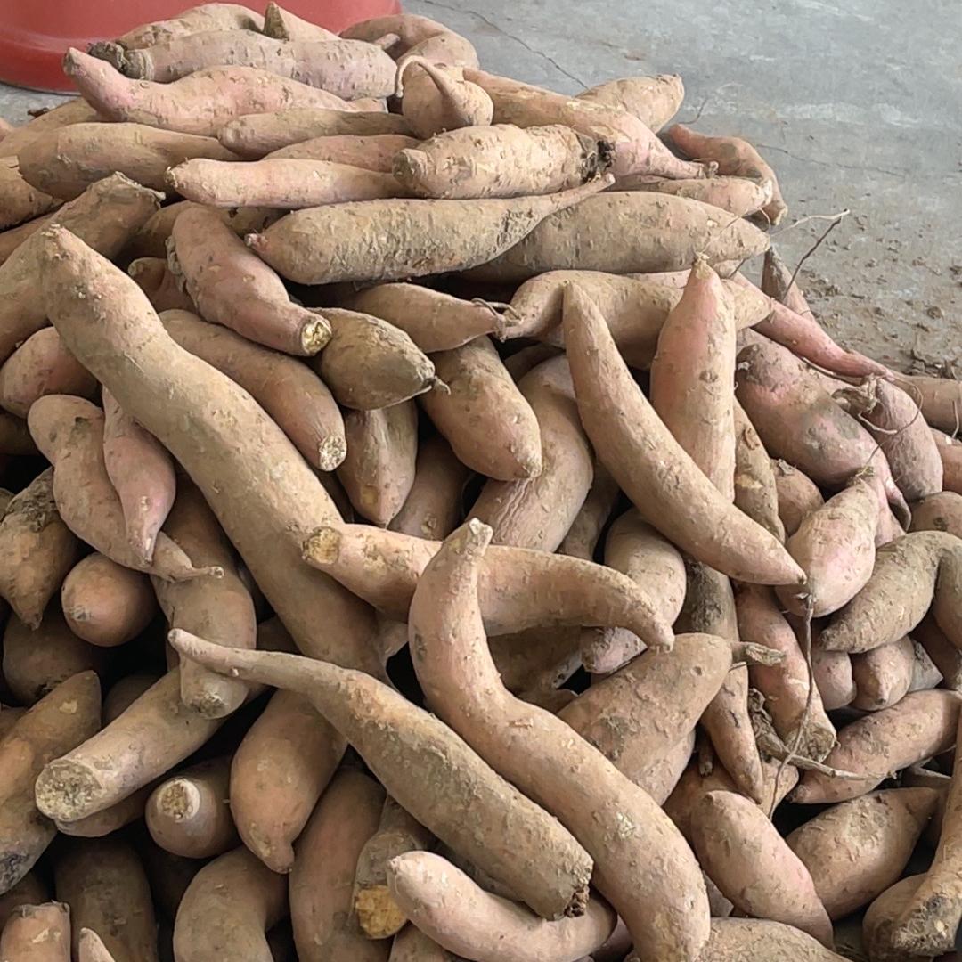 冠亿禾水产品销售中心