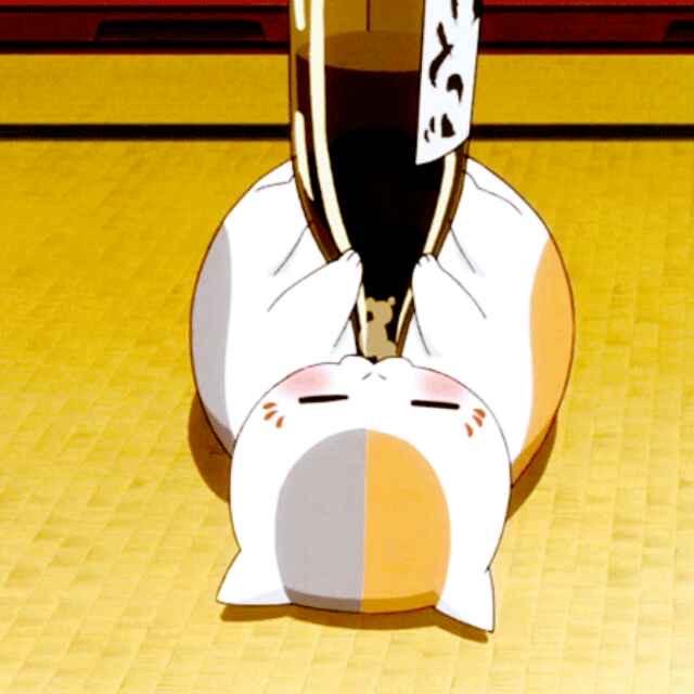 鹈鹕麝䈫头像