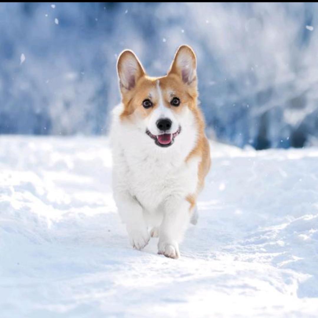 ༅၇༢金子᭨ഒ࿐