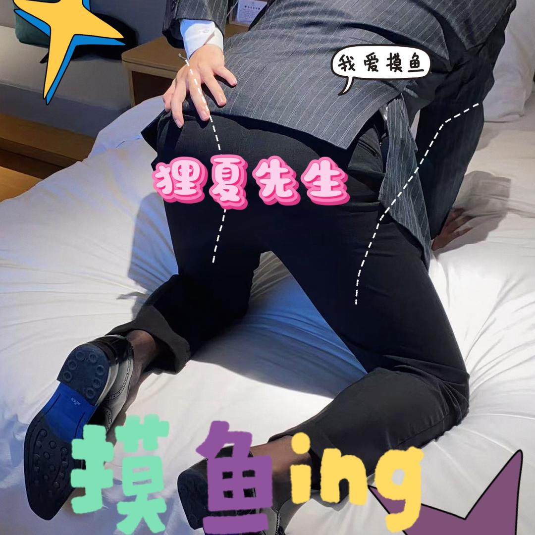 狸夏先生