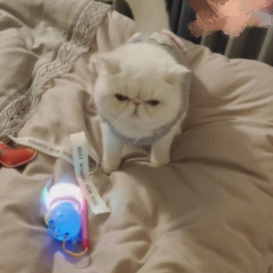 1116