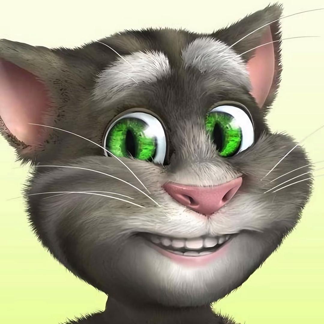 talk的汤姆猫