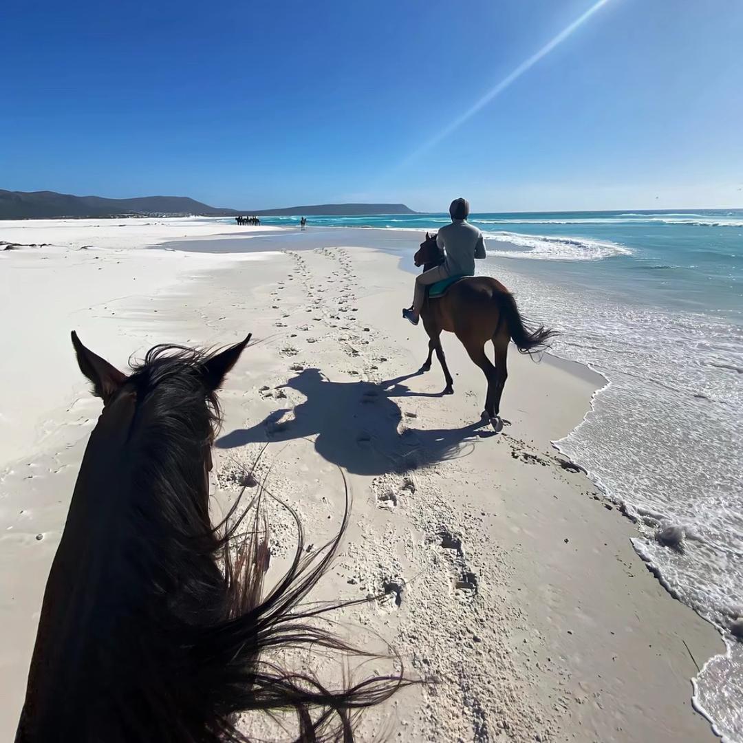 yk（无畏契约）