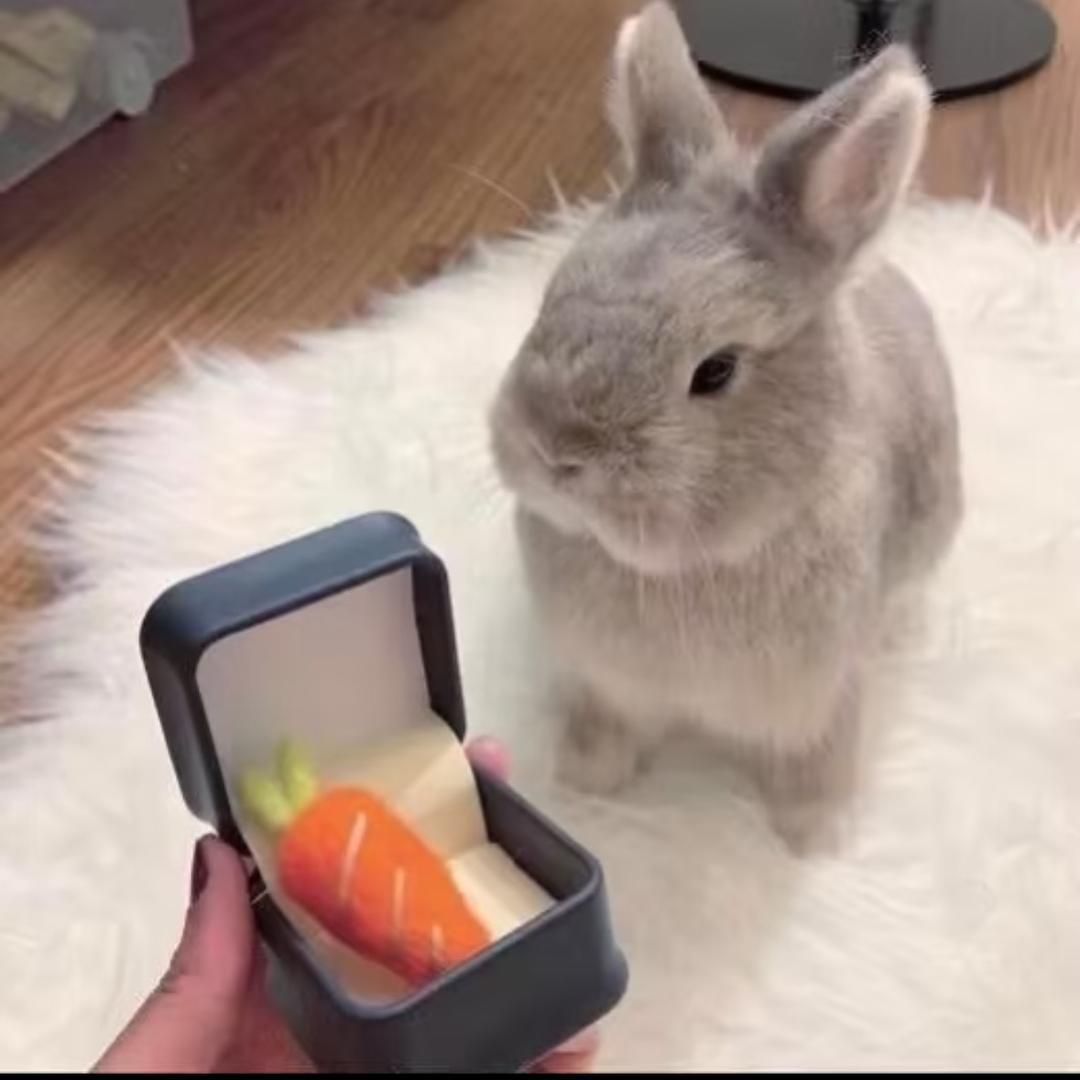 下周天