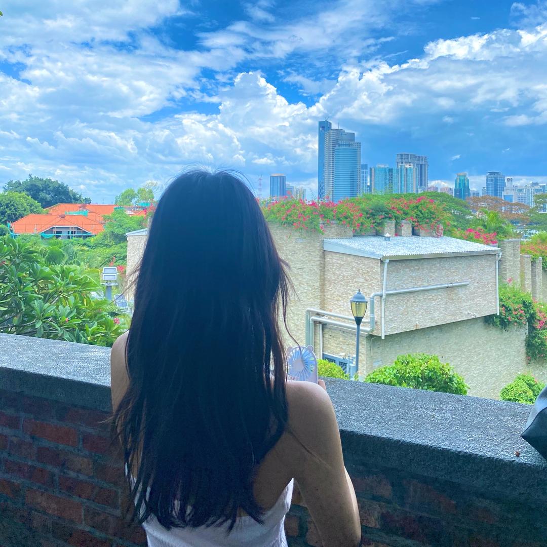 一只发福蝶