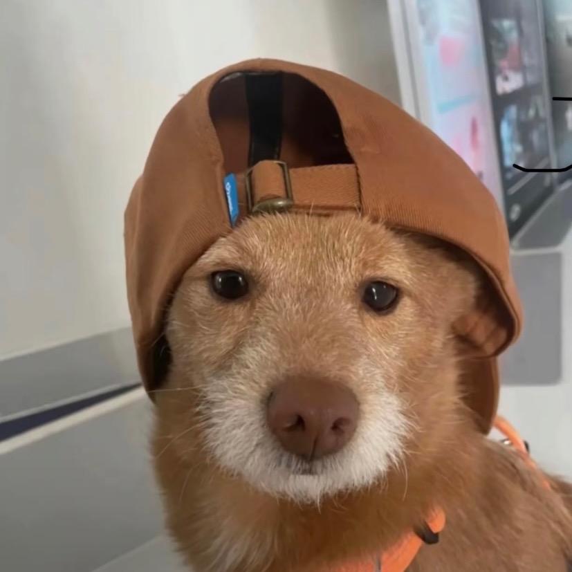你又脸红了
