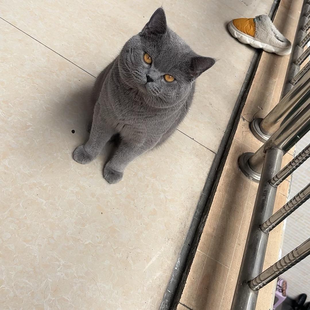 辞安