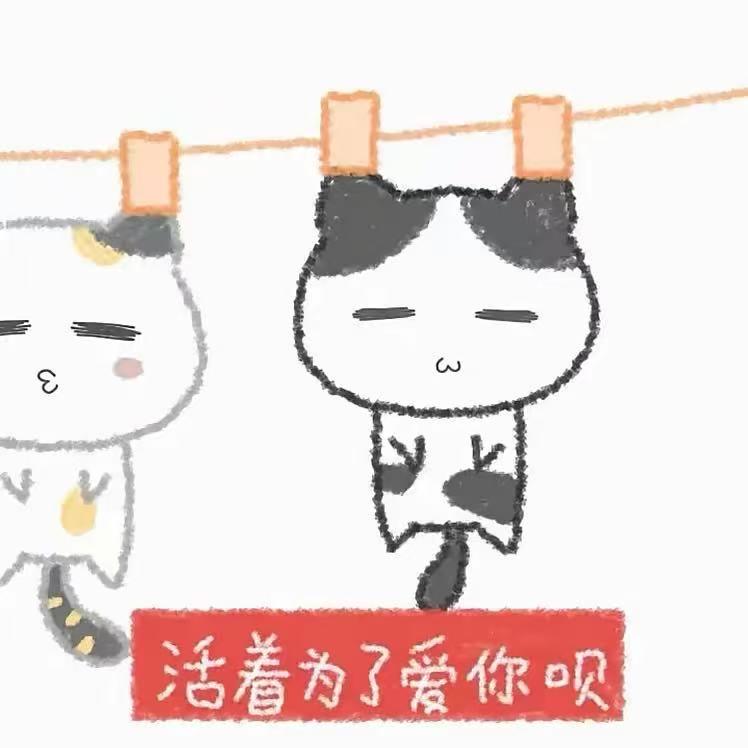 杜卡龙