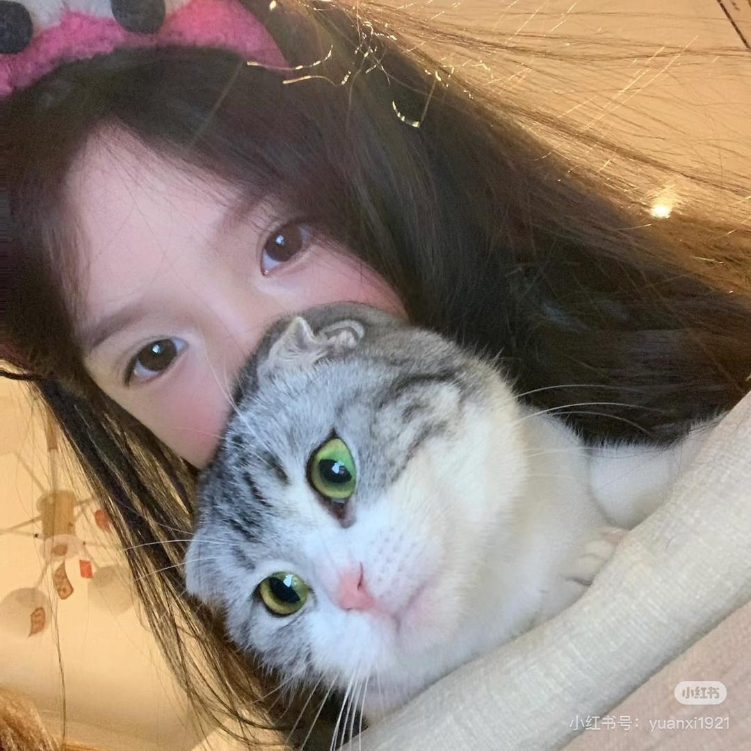 悦悦
