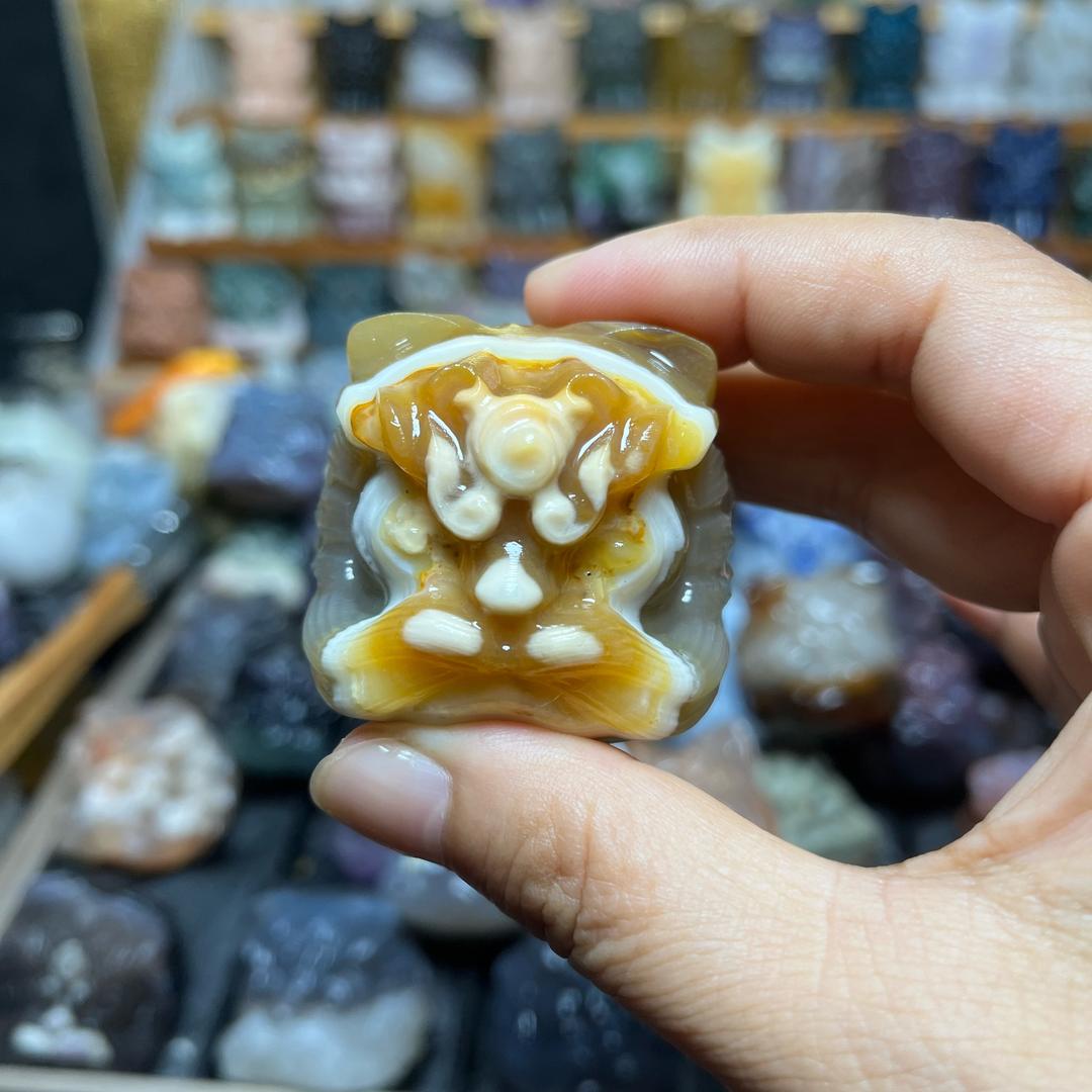 狮轩堂