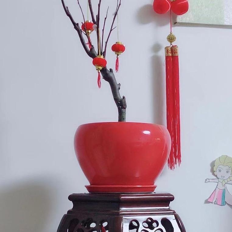 萧龙