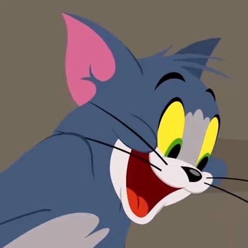汤姆猫玩游戏