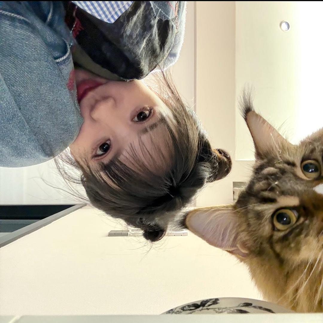 逸mo