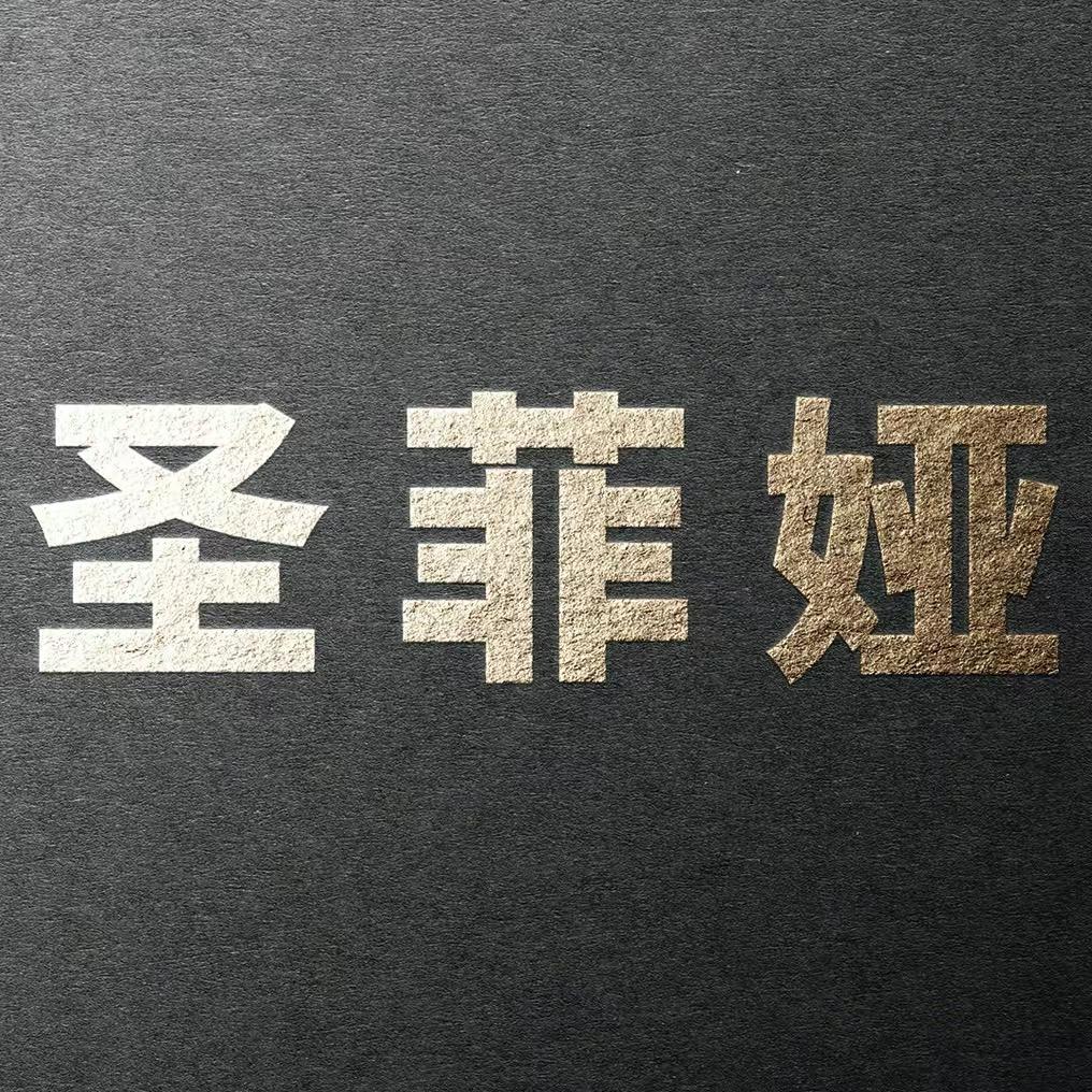 圣菲娅极简门工厂