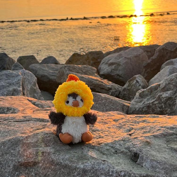 阳山小笼包果园授权号