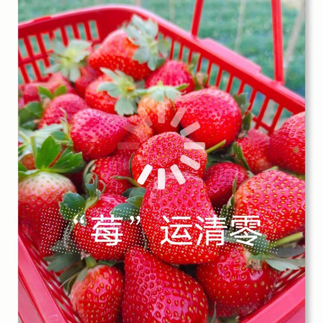 ^_^我叫玲玲