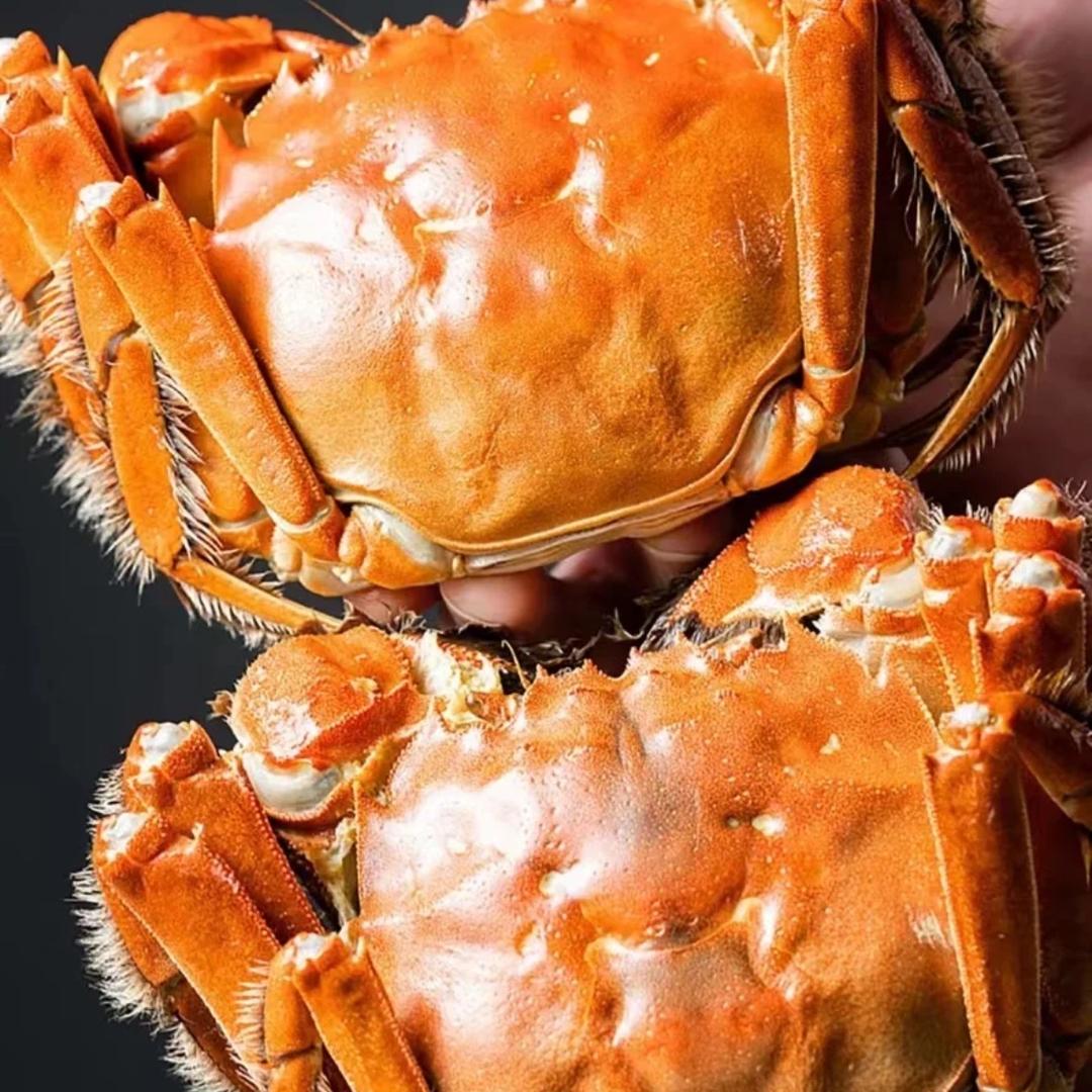 蟹双喜 阳澄好蟹