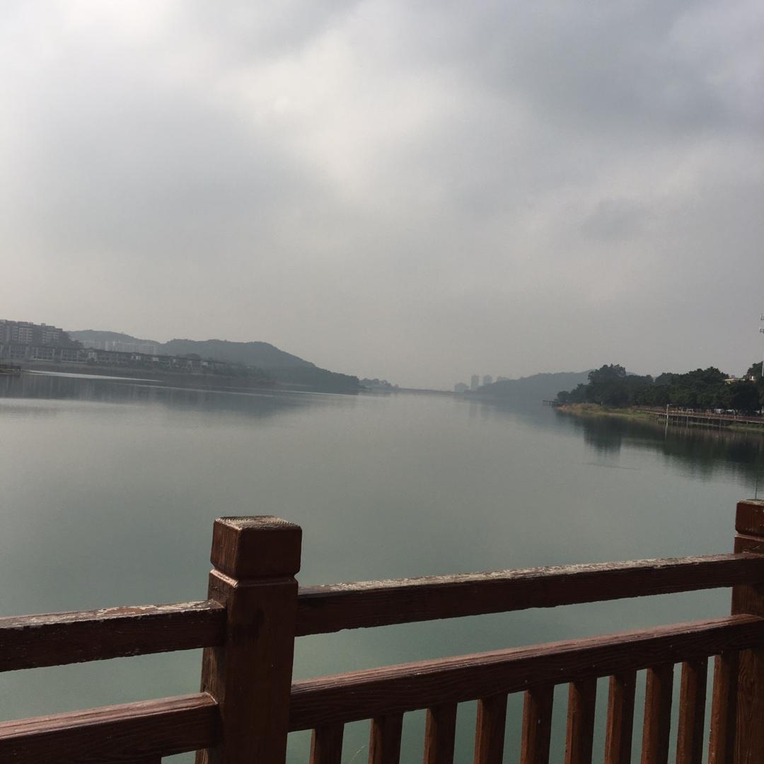 充满阳光