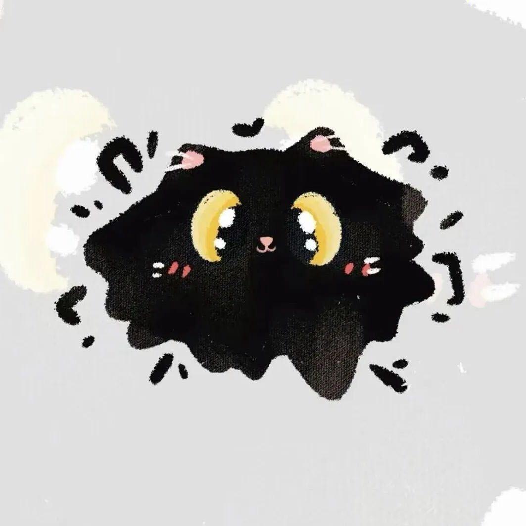 小陈怕飞