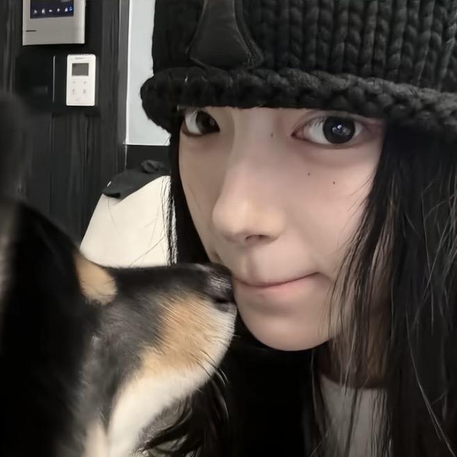 刺猬的刺