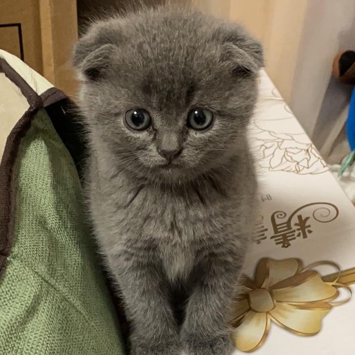 🌈 🌈 放飞自我