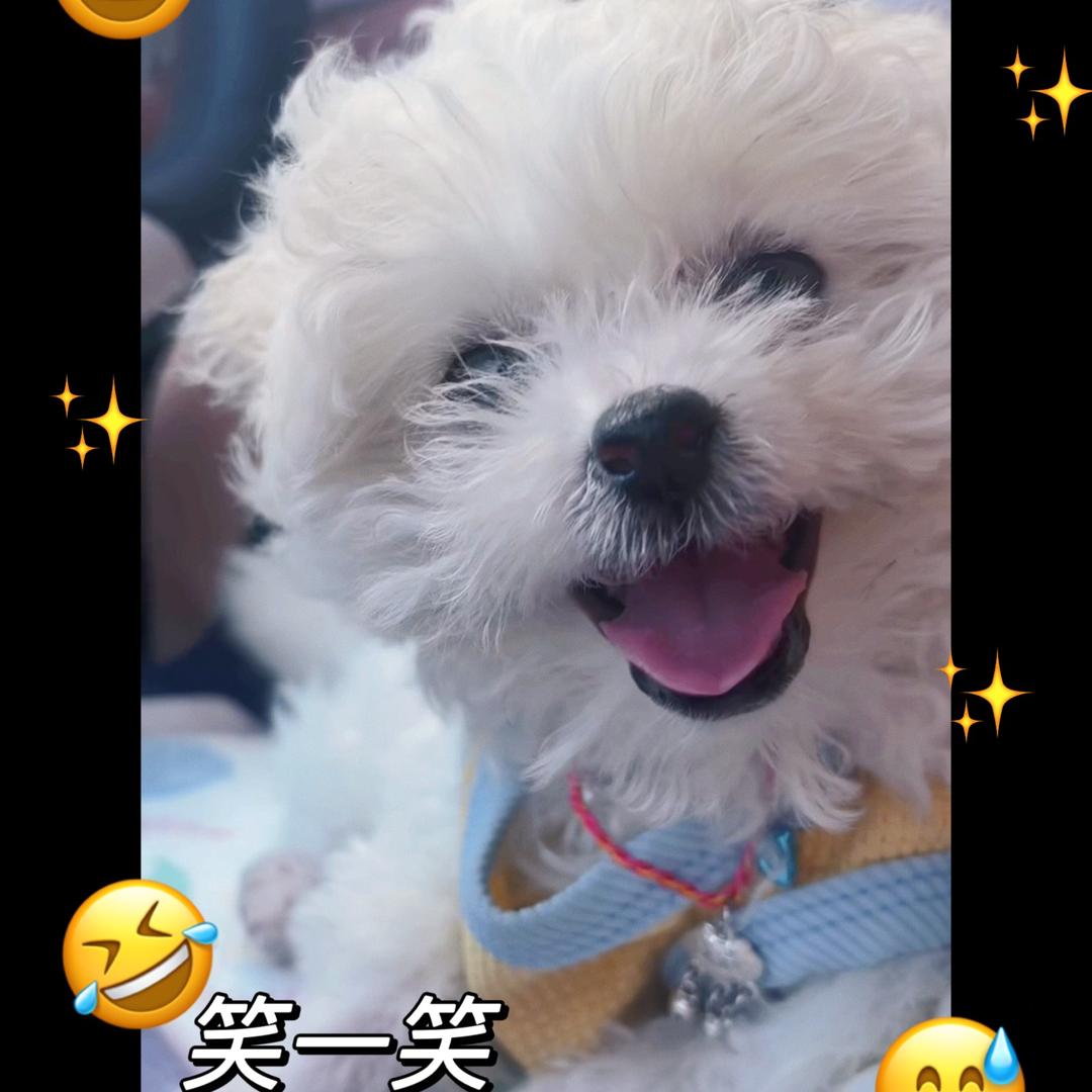 _小 多米🦴💤