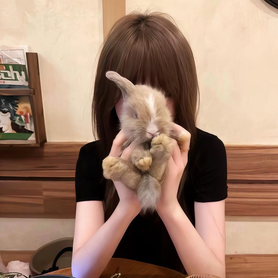 碎碎球
