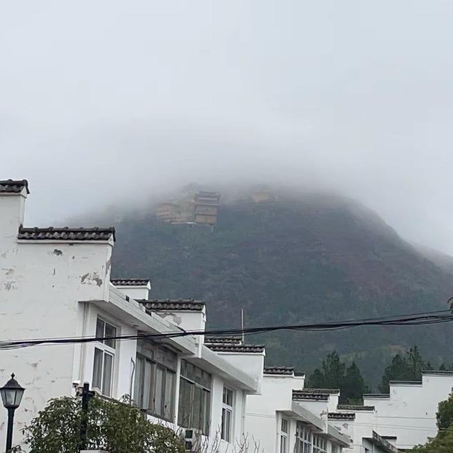 终南山卖炭翁