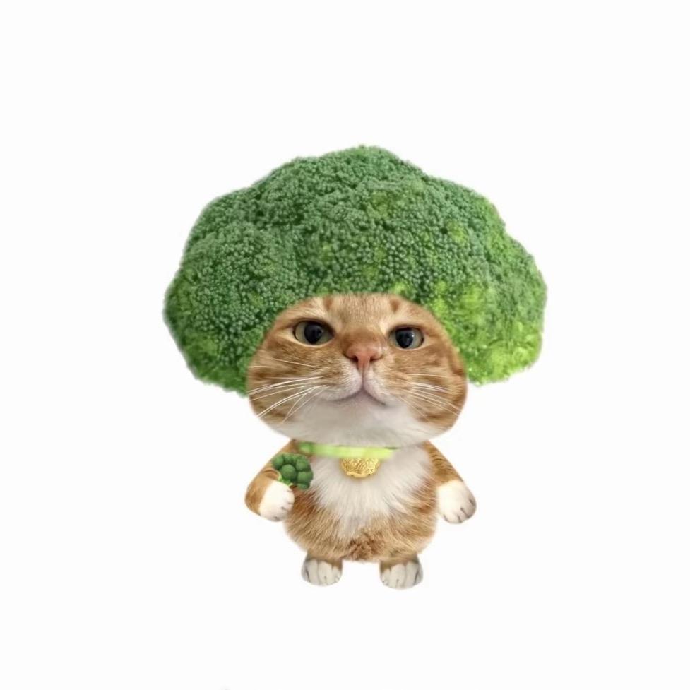 十一……