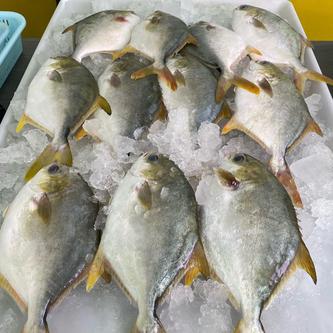 阿妹海鲜批发