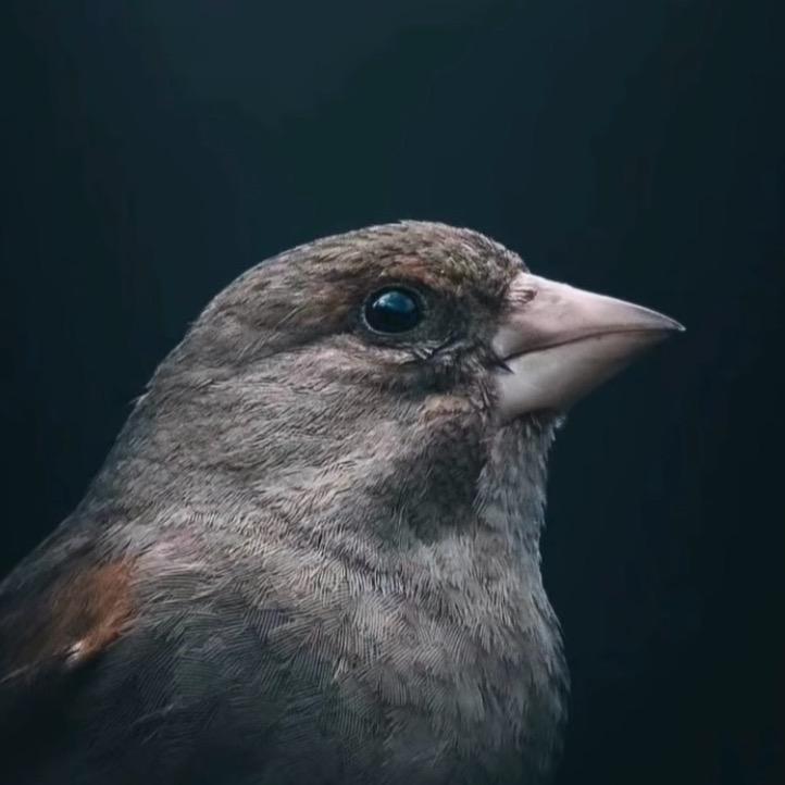 见路不走。