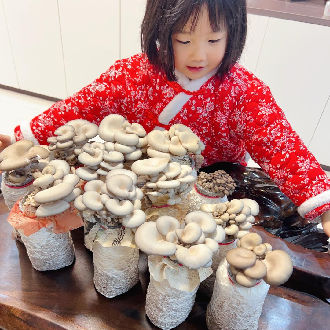 万利好货店