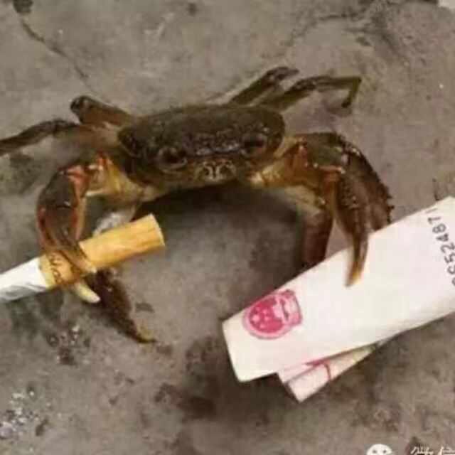 平心而论