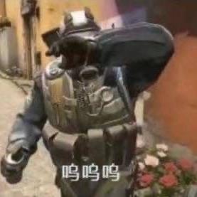小秦百胜