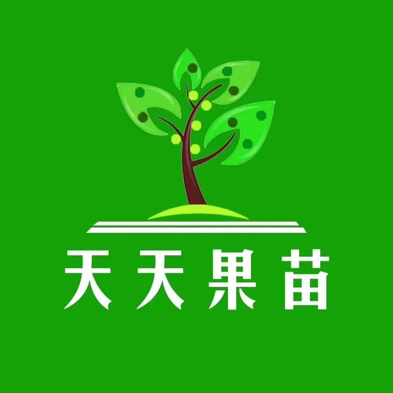 天天果苗场
