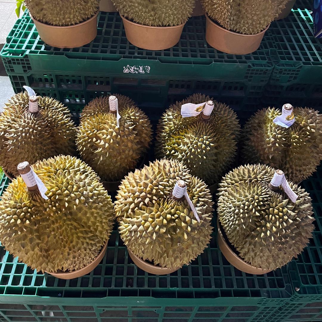 水果赞-远洋荣域店