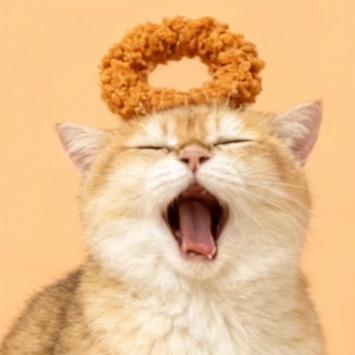 安妮有好多猫（八方来财版）