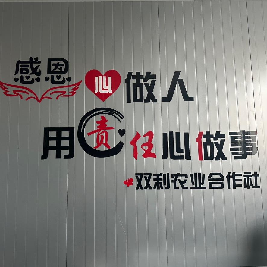 A 💕双泉下屯菌包厂