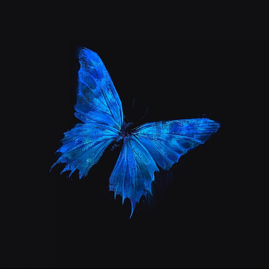 🦋❀头像
