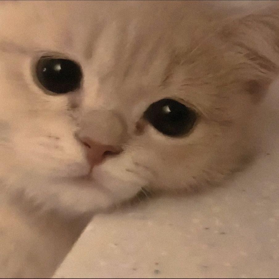 不再