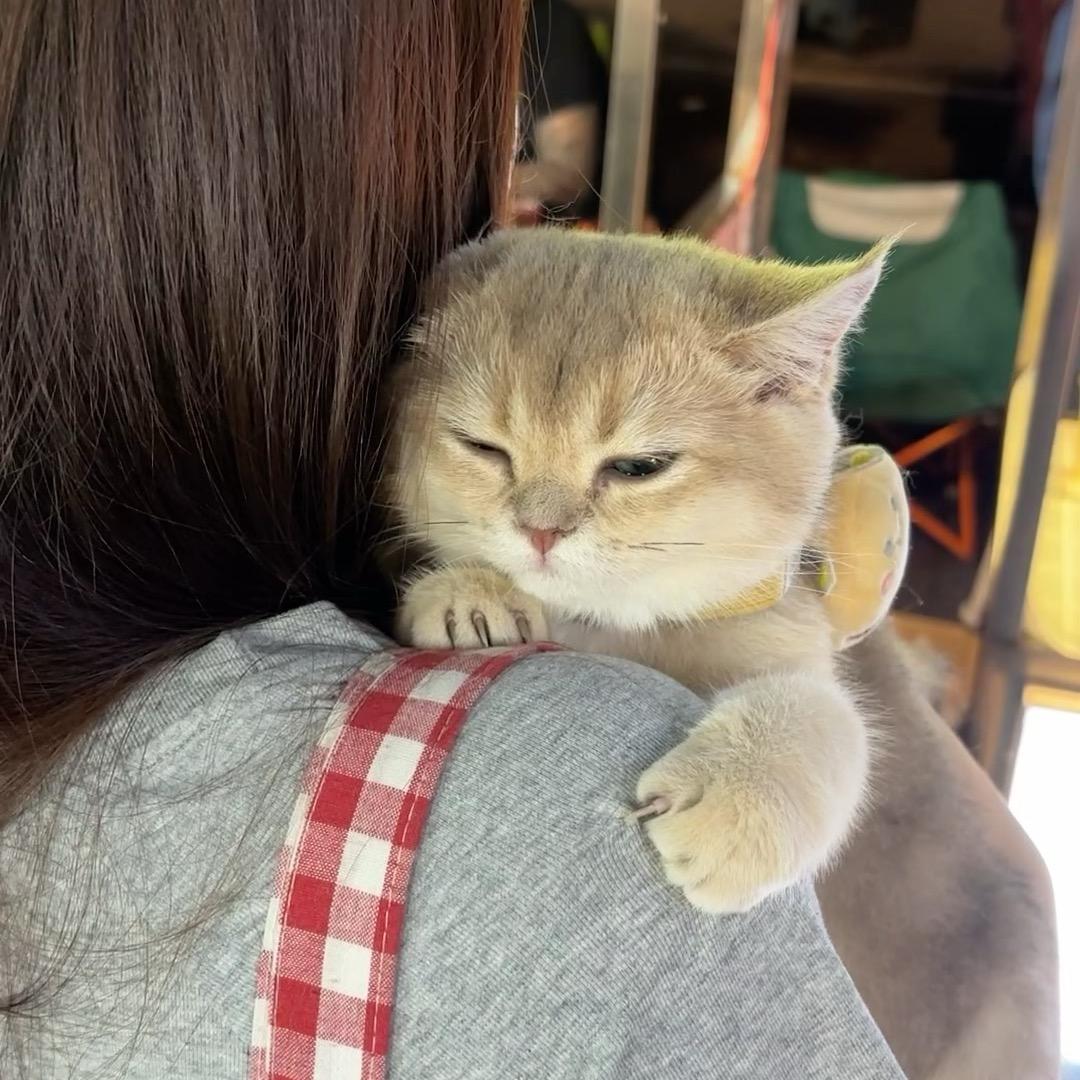 菠萝味的泡泡
