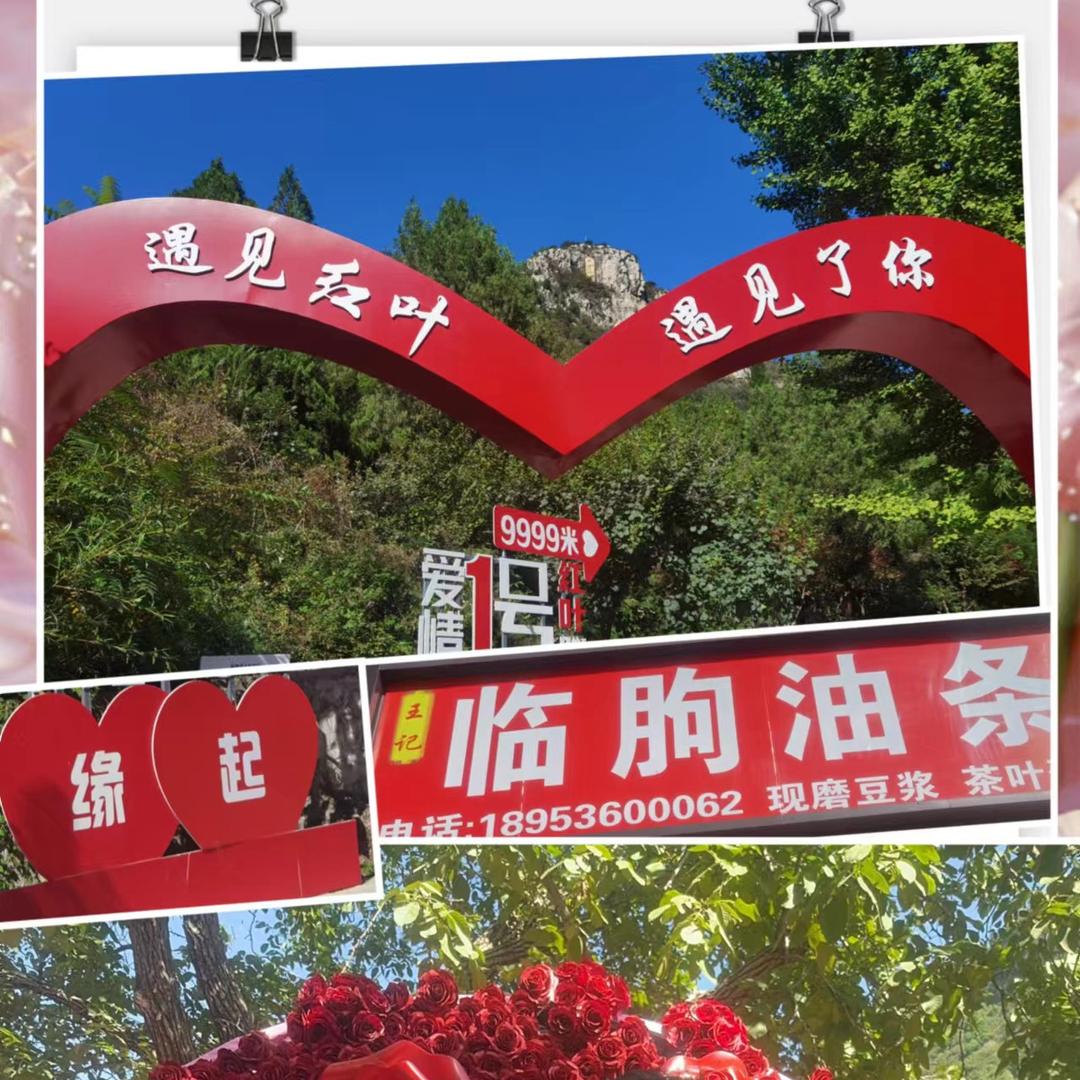 正宗临朐四股油条（招收学员）