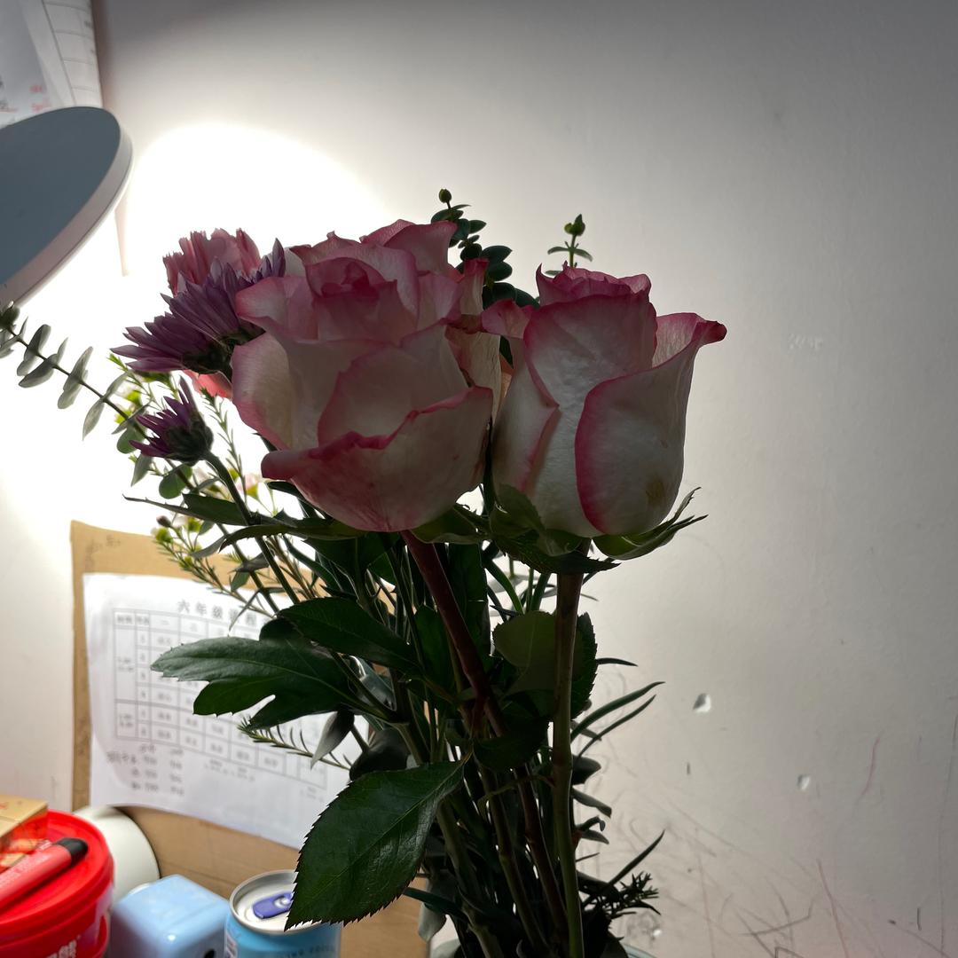 爱生活、记录生活