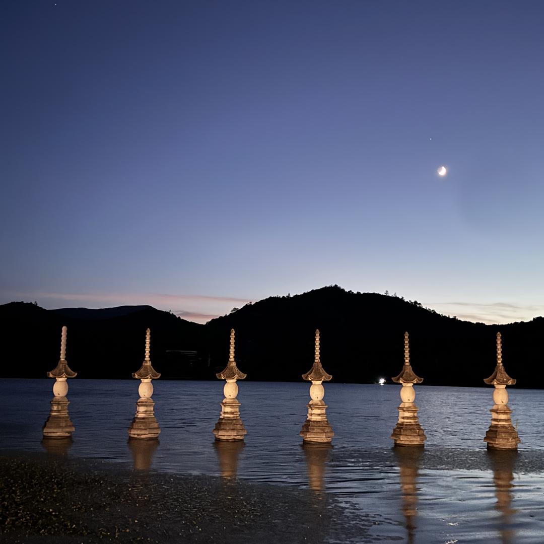 冉冉鲸梦